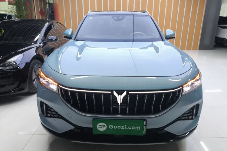 Used VOYAH FREE 2021 Four-Wheel Drive Standard Range-Extended Exclusive Luxury Package
