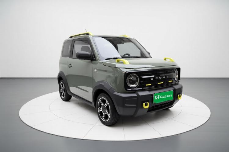 Used  Panda 2024 200km Panda Rider
