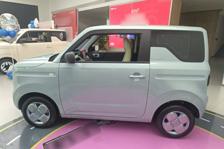 Used  Panda 2025 210km Panda Rider