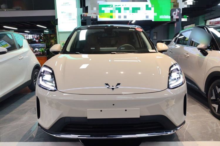 Used Wuling Bingo S 2025 Model 430km Flagship Edition