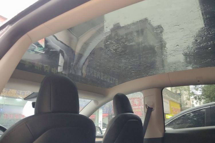 Used Tesla Model Y 2022 Rear-Wheel-Drive Version
