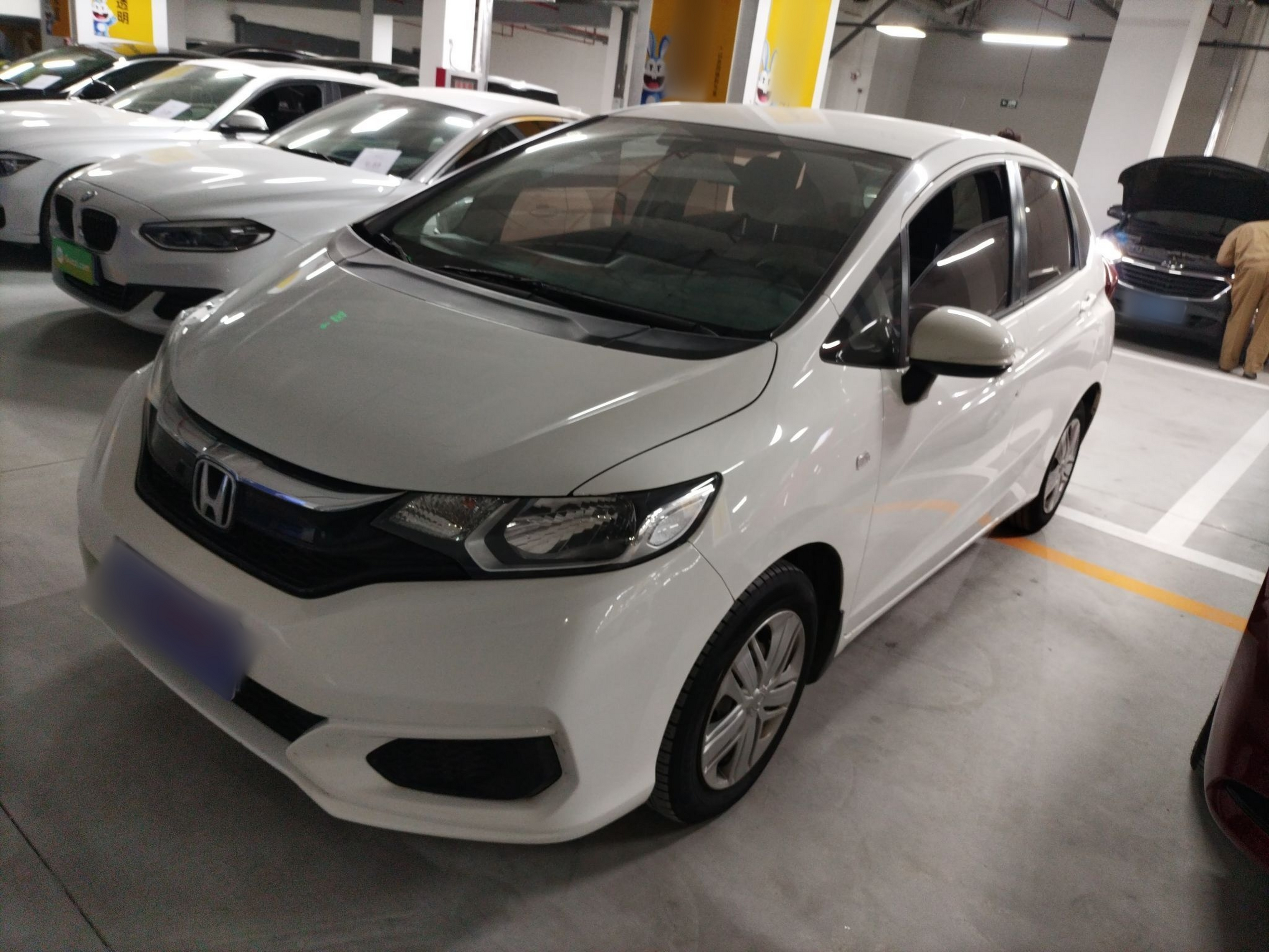 تحت مقدمة السيارة