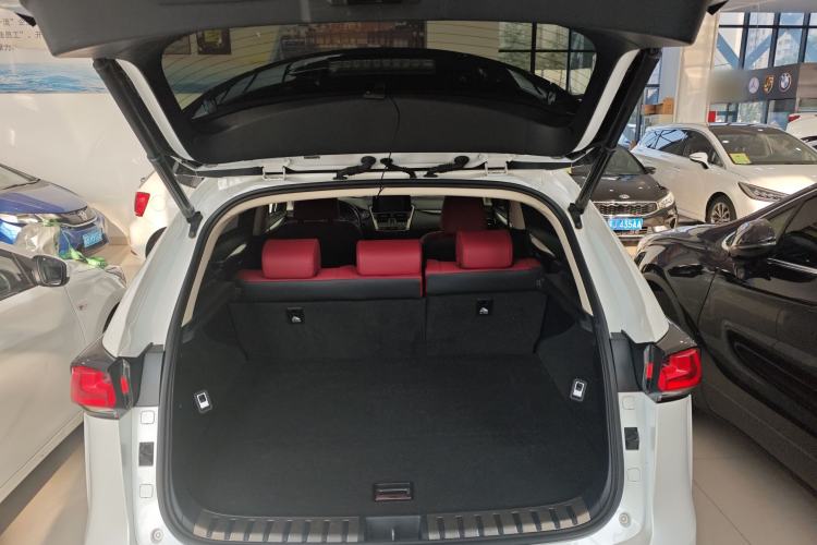 Used Lexus NX 2020 200 All-Wheel Drive Fēngshàng Version China VI Standard