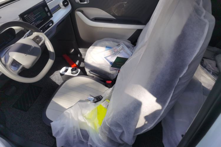 Used  Panda 2025 210km Panda Rider
