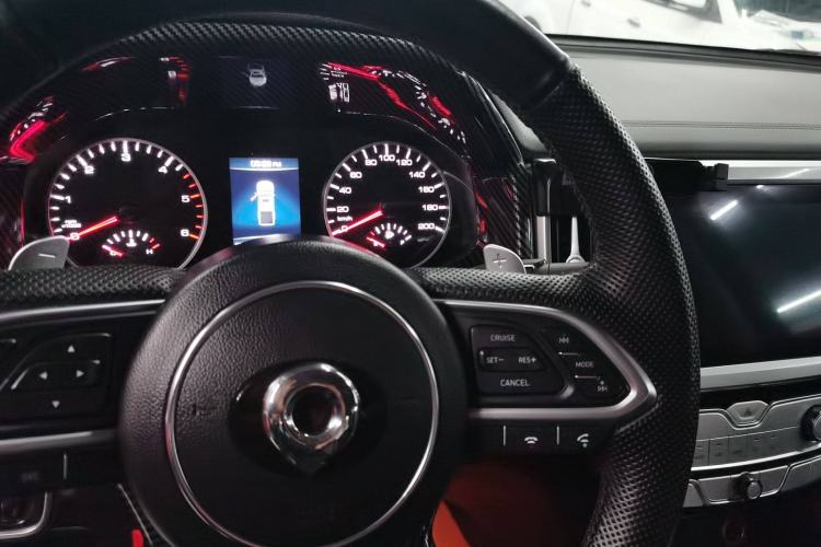 Used Great Wall Poer 2021 2.0T Global Version Automatic Diesel 4x4 Comfort Trim Standard Box GW4D20M
