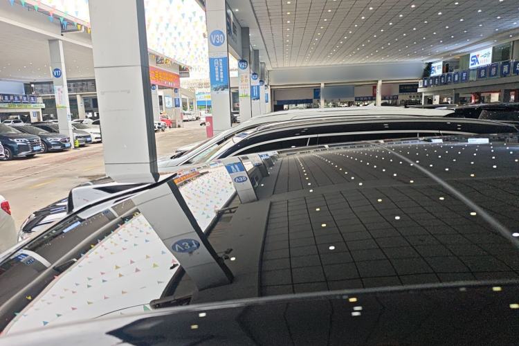 Used Li Auto L9 2023 Pro Model
