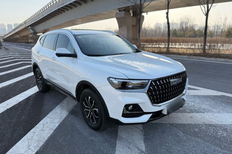 Used Haval H6 2023 National Trend Edition 1.5T Automatic Urban Version
