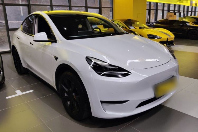 Used Tesla Model Y 2021 Standard Range Rear-Wheel Drive Version
