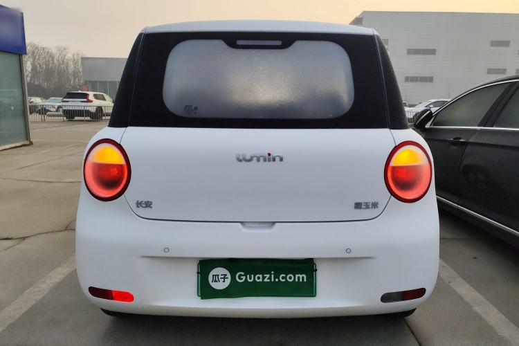 Used  Lumin 2025 205 km Xiangqin Version