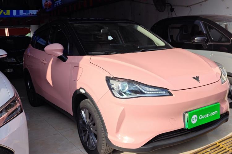 Used NETA V 2021 Witch Edition
