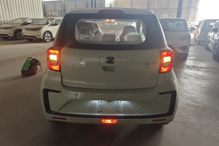 Used SOL E10X 2022 Flower Fairy Design Four-Leaf Clover