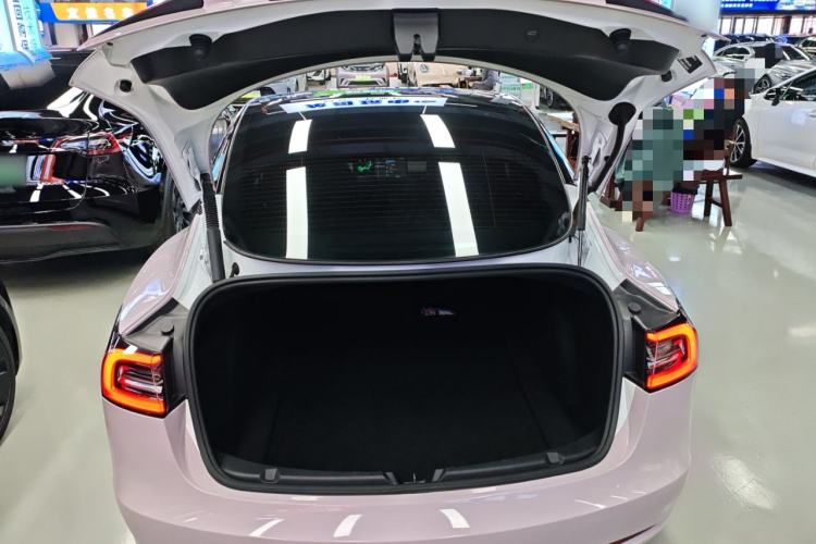 Used Tesla Model 3 2021 Standard Range Rear-Drive Upgraded Version