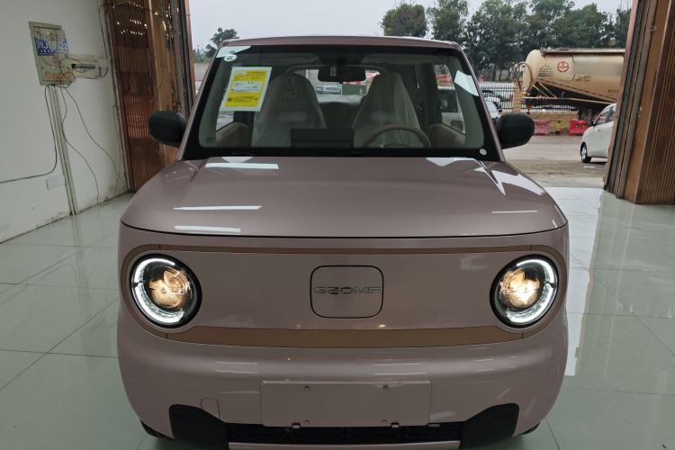 Used  Panda 2024 Panda Mini 200km Endurance Bear