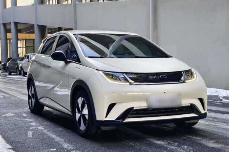 Used BYD Dolphin 2023 420 km Free Version

