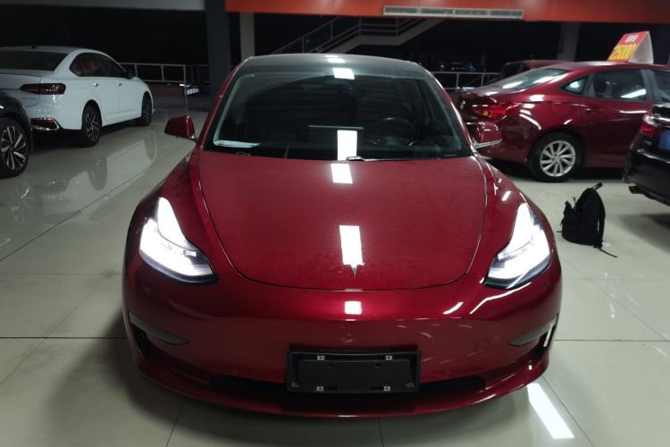 Used Tesla Model 3 2019 Long-Range All-Wheel-Drive Version
