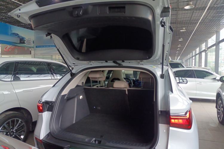 Used BYD Yuan PLUS 2023 Champion Edition 430KM Superior Model