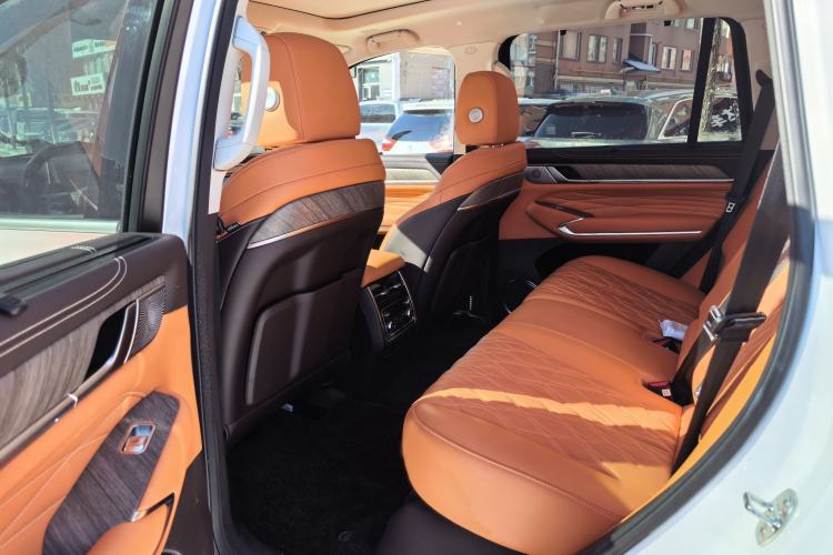 Used Tank 500 New Energy The 2025 Hi4-Z is definitely a hit.