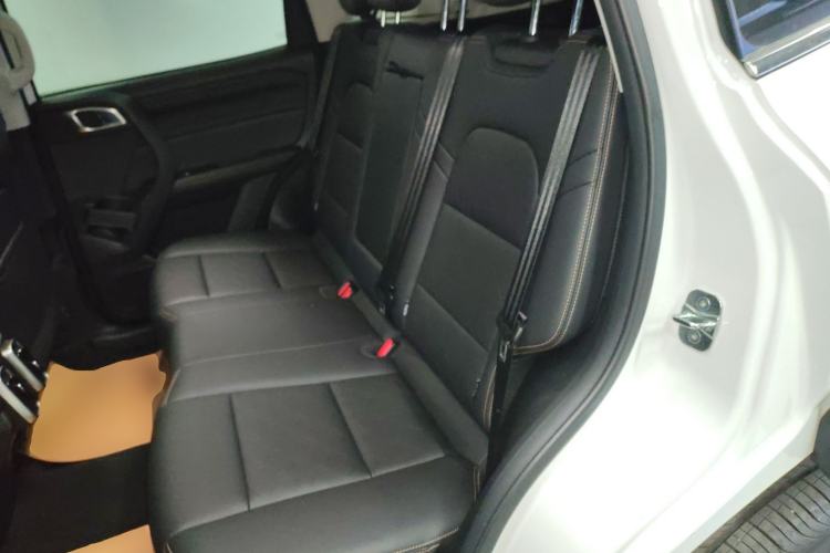 Used Haval DARGO 2024 2.0T DCT Chinese Rural Dog Edition