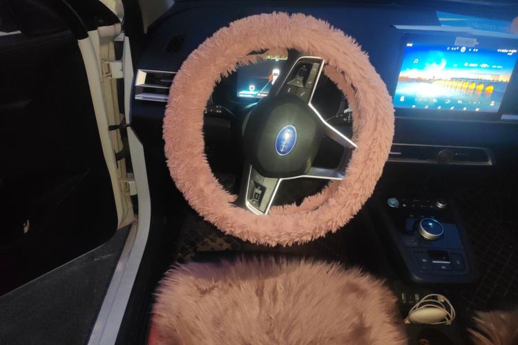 Used BYD e2 2019 Long-Range Version Yao·Luxury Trim
