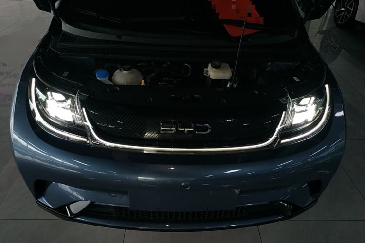 Used BYD Dolphin 2024 Honor Edition 420km Freedom Version