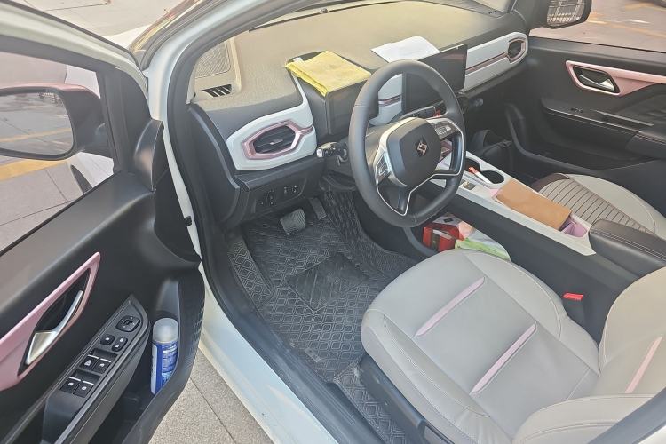 Used SOL E10X 2022 Flower Fairy Design Four-Leaf Clover
