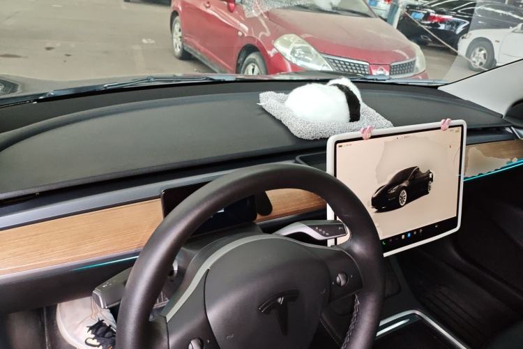 Used Tesla Model 3 2022 Rear-Wheel-Drive Version
