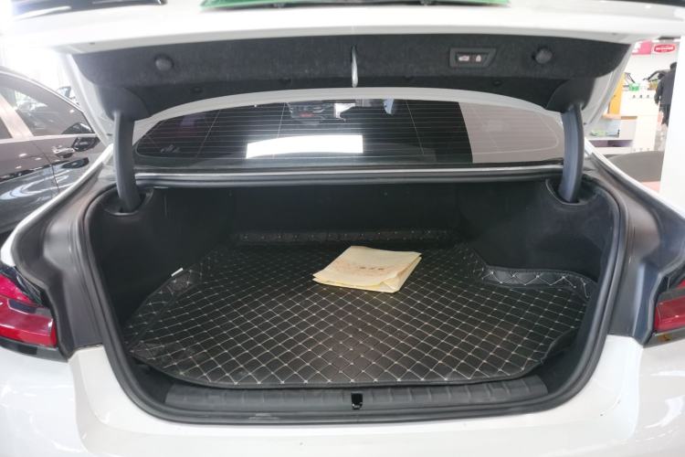 Used BMW 5 Series New Energy 2021 535Le Luxury Package
