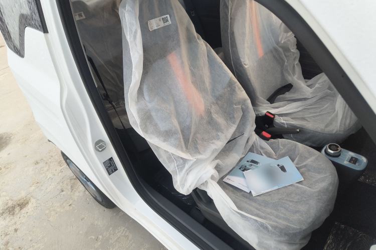 Used  Panda 2024 Panda Mini 200km Endurance Bear
