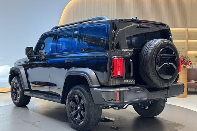 Used Tank 300 2024 2.0T Challenger
