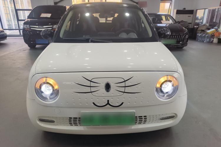 Used ORA Black Cat 2021 351 km Luxury Version
