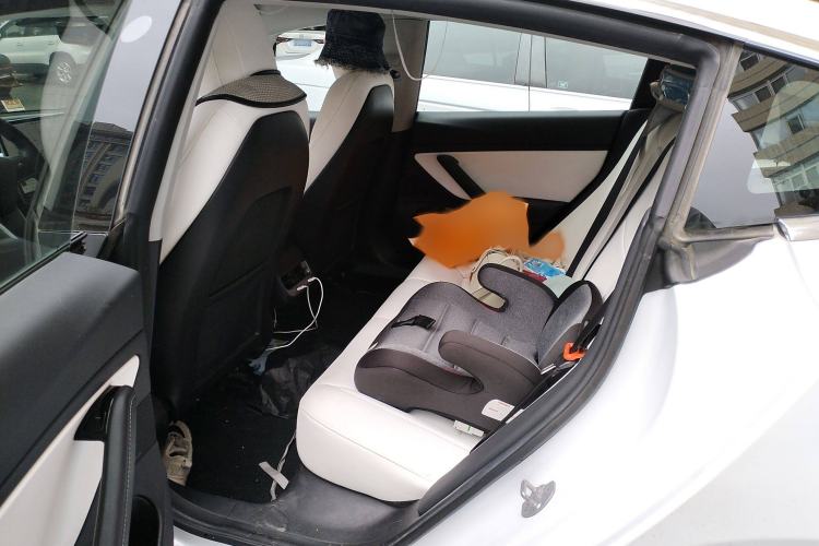 Used Tesla Model 3 2019 Long-Range All-Wheel-Drive Version