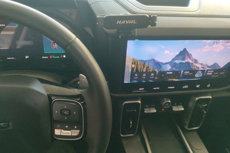 Used Haval DARGO 2024 2.0T DCT Chinese Rural Dog Edition