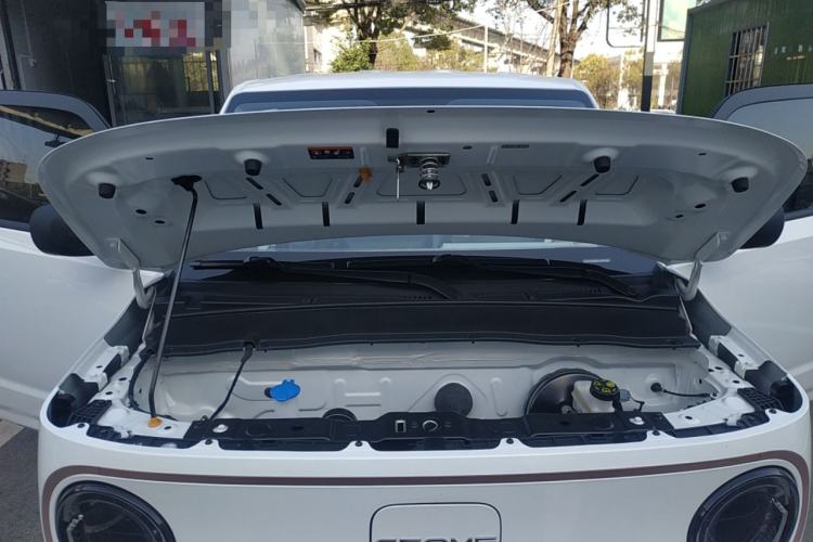 Used  Panda 2023 Panda Mini 200km Endurance Bear
