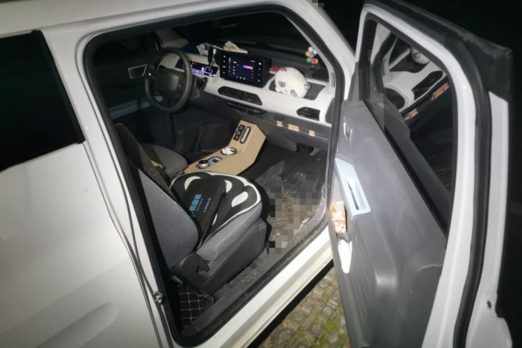 Used  Panda 2023 Panda Mini 200km Endurance Bear
