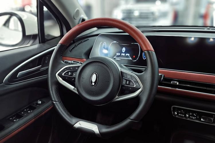 Used ORA Good Cat GT 2022 Mulan Edition 480km Long-Range续航
