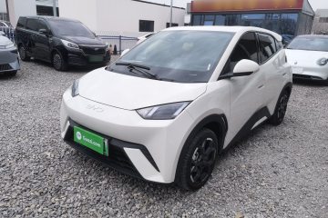 Used BYD Seagull 2025 405 km Flying Edition