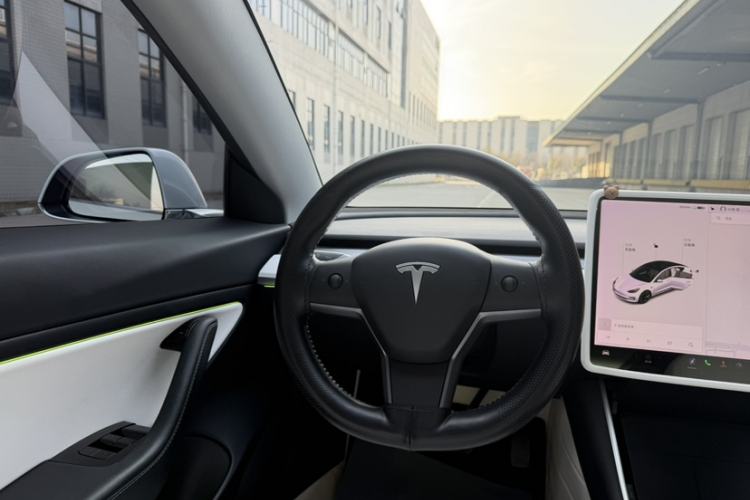 Used Tesla Model 3 2020 Standard Range Rear-Wheel Drive Upgraded Version
