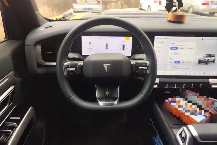 Used  G318 2025 Worry-Free Cross-Country Edition Four-Wheel Drive Distant Mountains Version