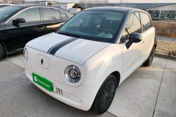 Used ORA Black Cat 2019 301km Standard Edition