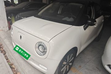 Used ORA Black Cat 2019 351 km Lingzhi Edition