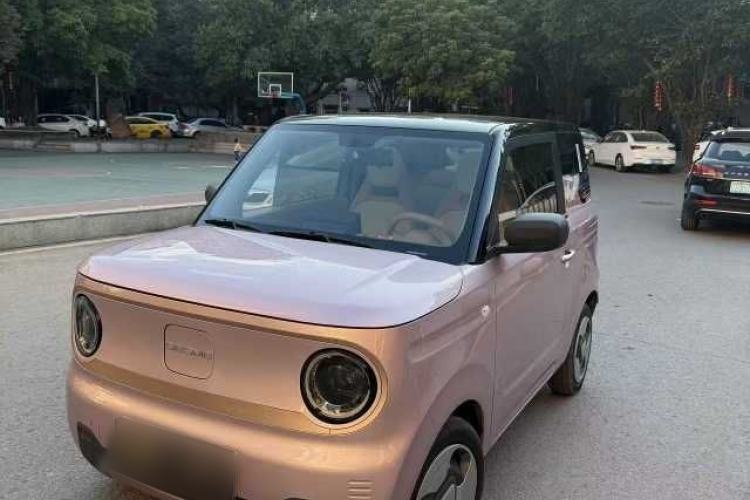 Used  Panda 2023 Panda Mini 200km Dynamic Bear
