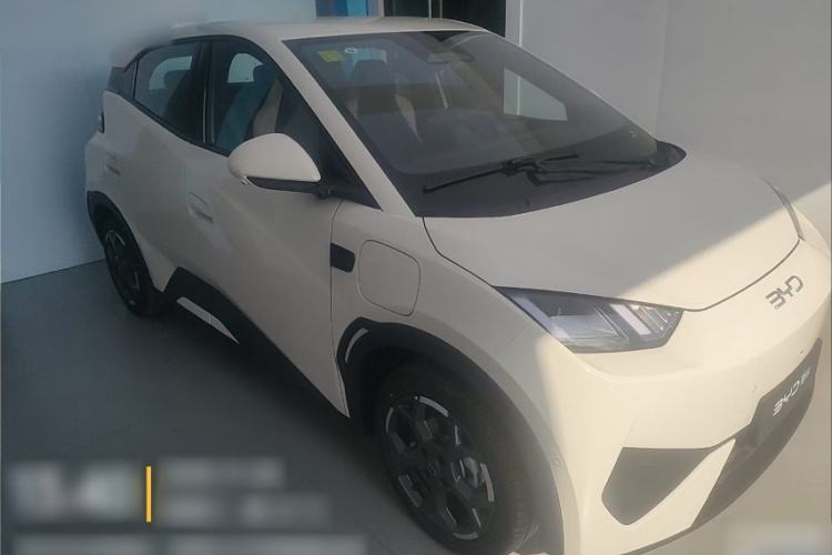 Used BYD Seagull 2025 Smart Drive Version 305 km Freedom Edition
