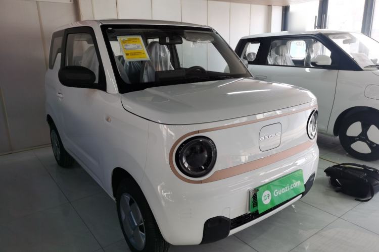 Used  Panda 2024 Panda Mini 200km Endurance Bear
