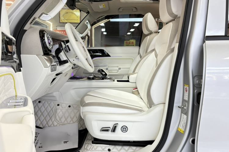 Used  Tank 300 2021 2.0T Cyber Tank
