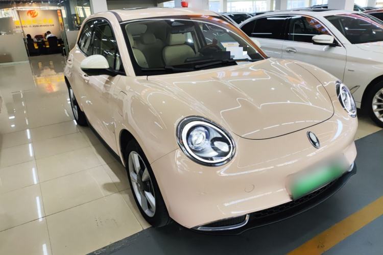 Used ORA Good Cat 2021 400km Standard Range Venus Edition Lithium-Ion Battery
