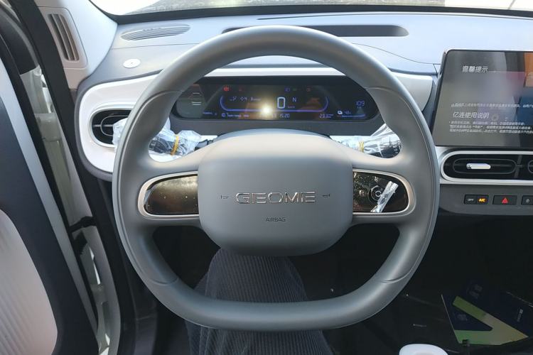 Used  Panda 2025 210 km – Yuanqi Bear
