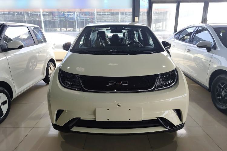 Used BYD Dolphin 2025 420km Free Edition
