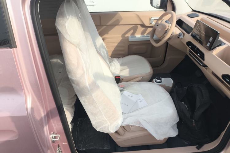 Used  Panda 2024 Panda Mini 200km Endurance Bear