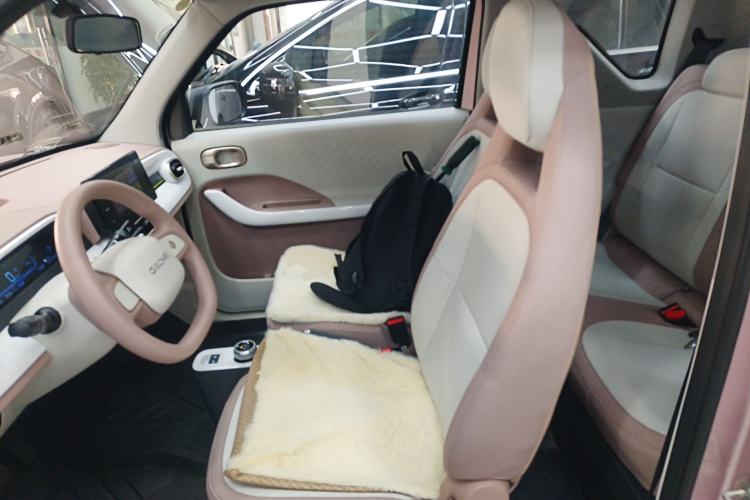 Used  Panda 2025 210 km – Yuanqi Bear
