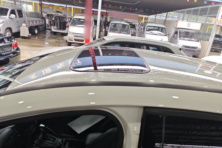 Used Ford Focus 2018 Hatchback Classic 1.6L Automatic Trendy SmartDrive Edition